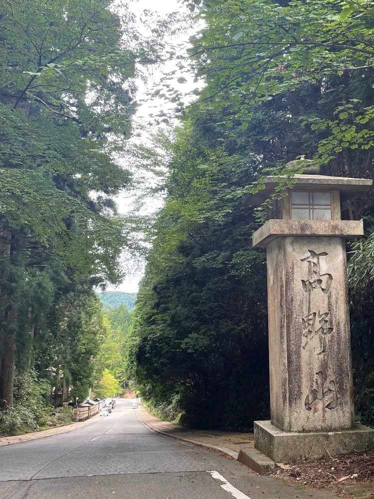 2026/08/18        今日は早起きというよりほぼ寝ずに久々に大好きな場所へ行ってきました😄