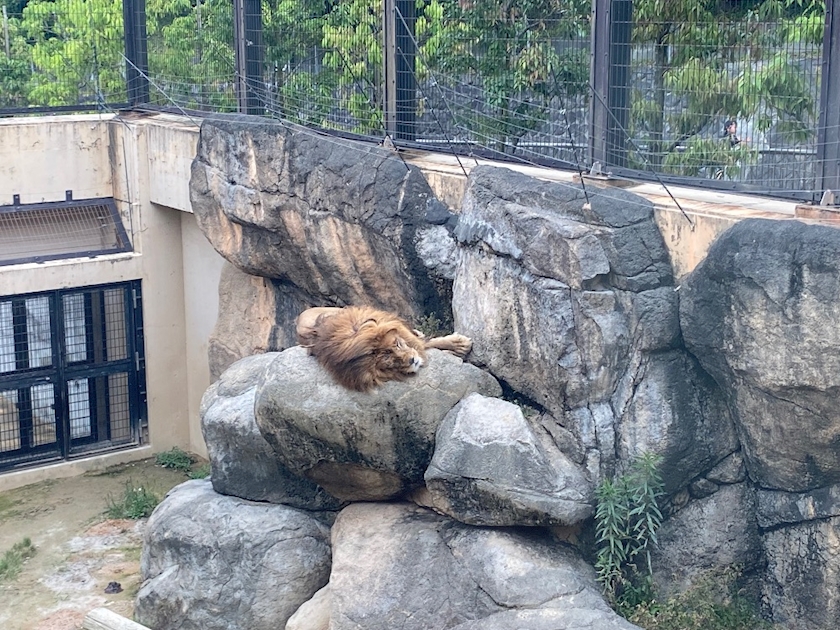 ZOO🐒🦁🐻‍❄️