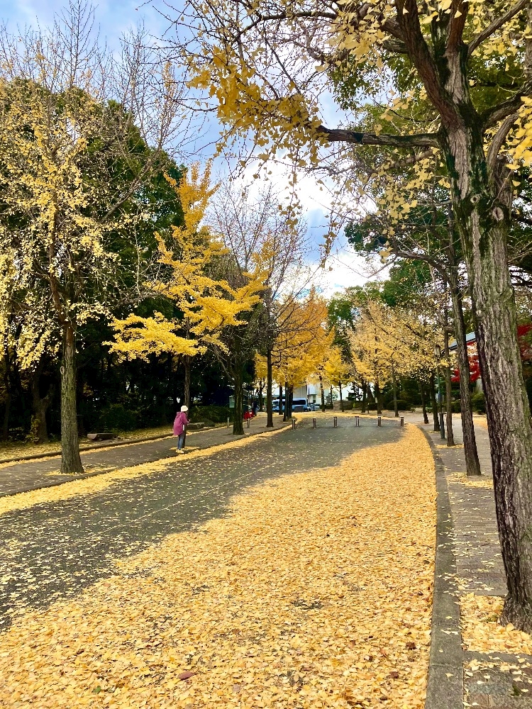 CLUB CARA (朝)日記1245214