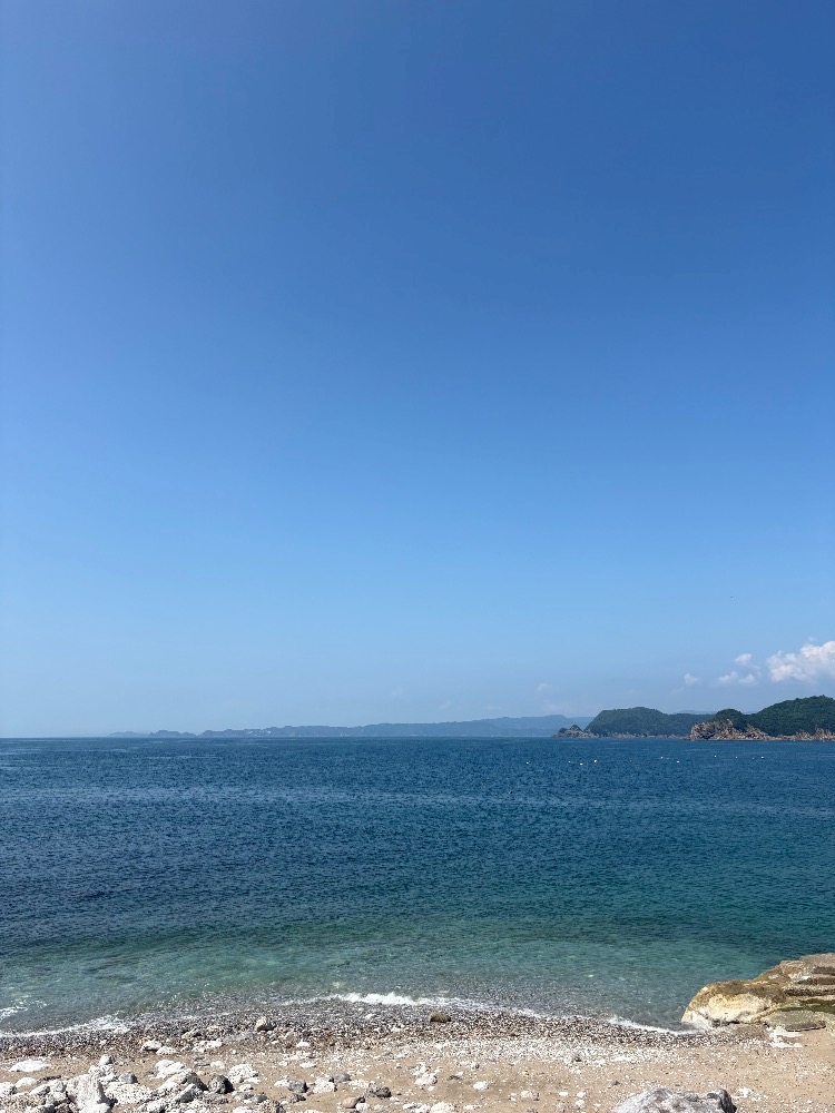 一条 葵