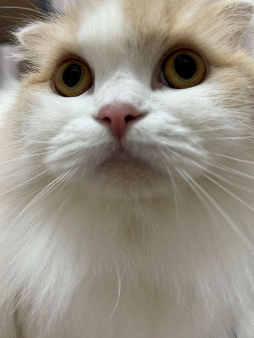 CLUB Epic日記1606035