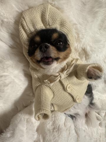 Premier日記1515265