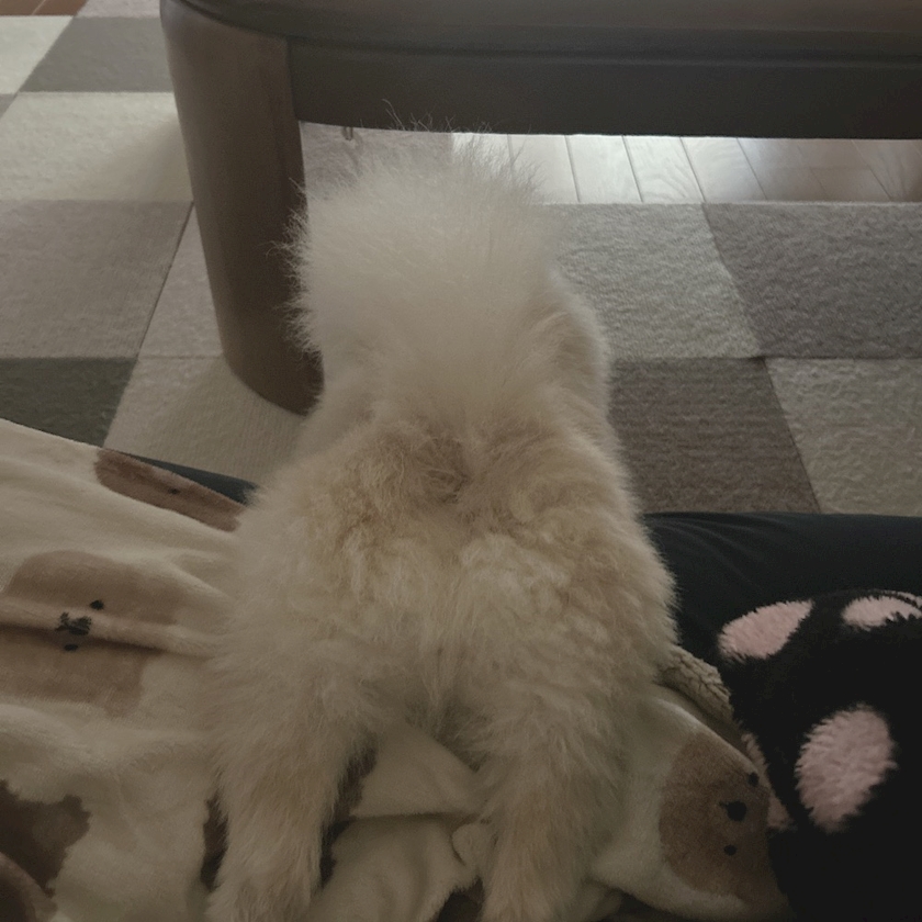 ママ七瀬　あや