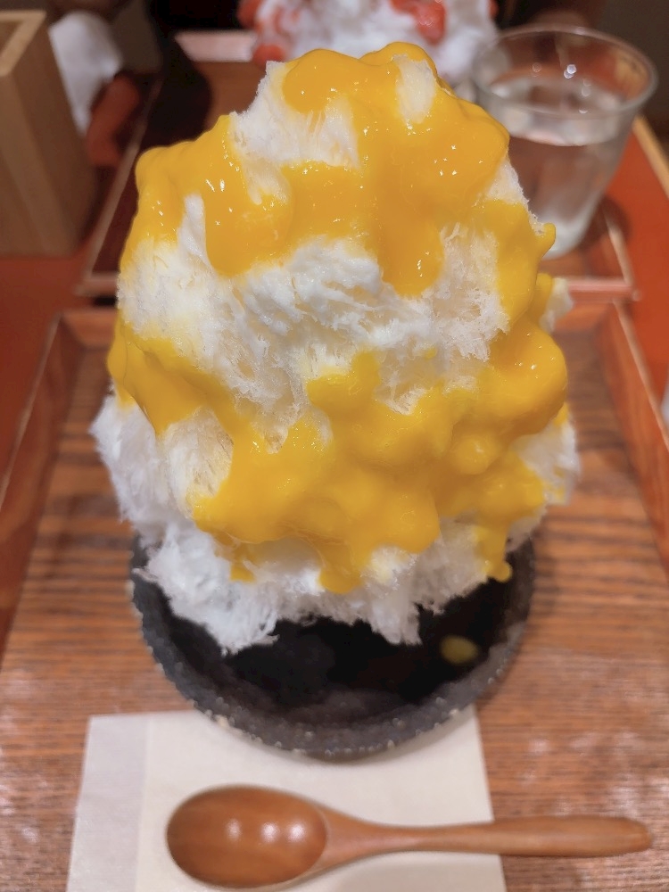 一条 葵