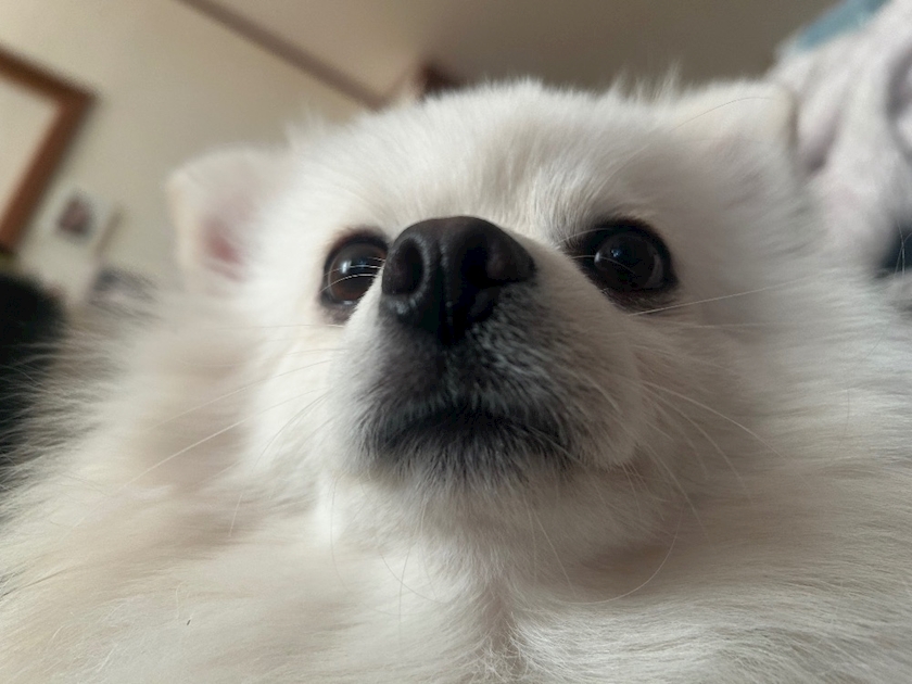 ママ七瀬　あや