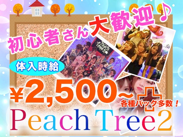 Peach Tree2 熊本松橋店