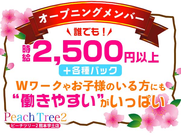 Peach Tree 2 熊本宇土店