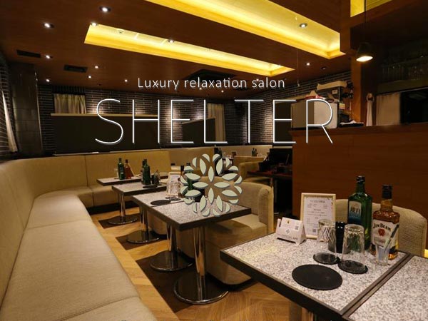 SHELTER Morning