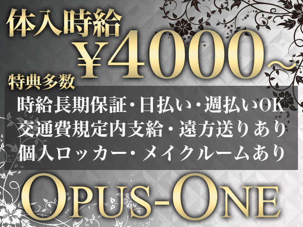 OPUS-ONE