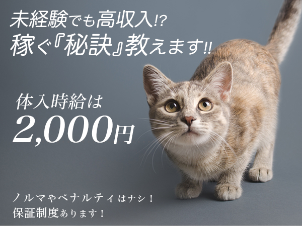 DESPERATE(昼)