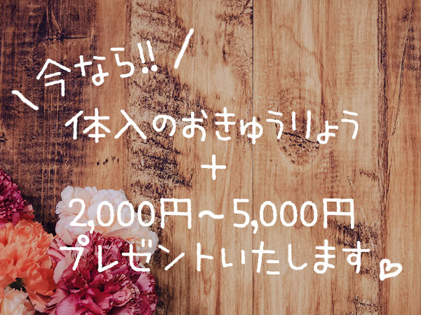 GirlsBar Zipper