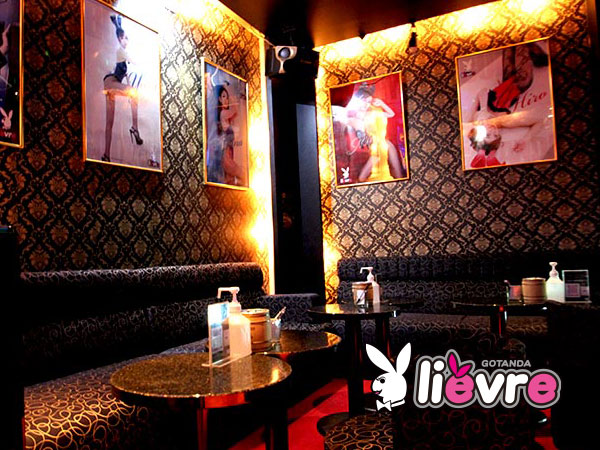 Lievre