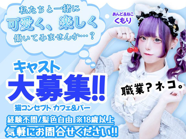 あんど&ねこ