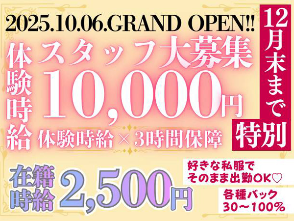 Casual Bar Lounge Lavige