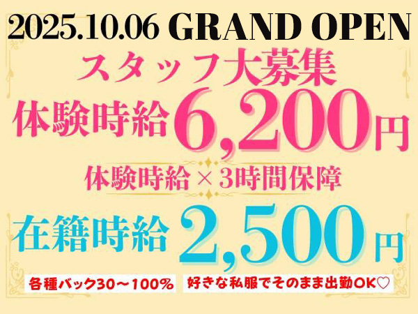 Casual Bar Lounge Lavige