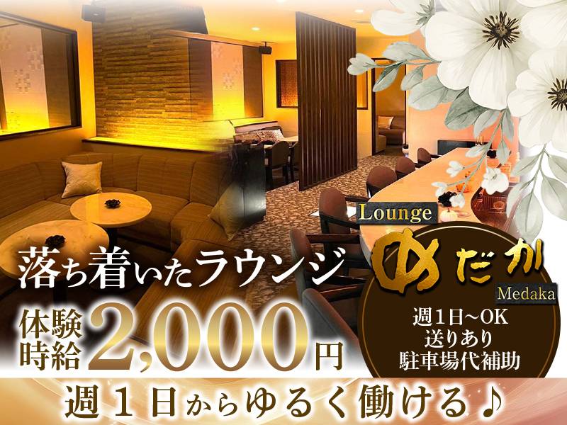 loungeめだか